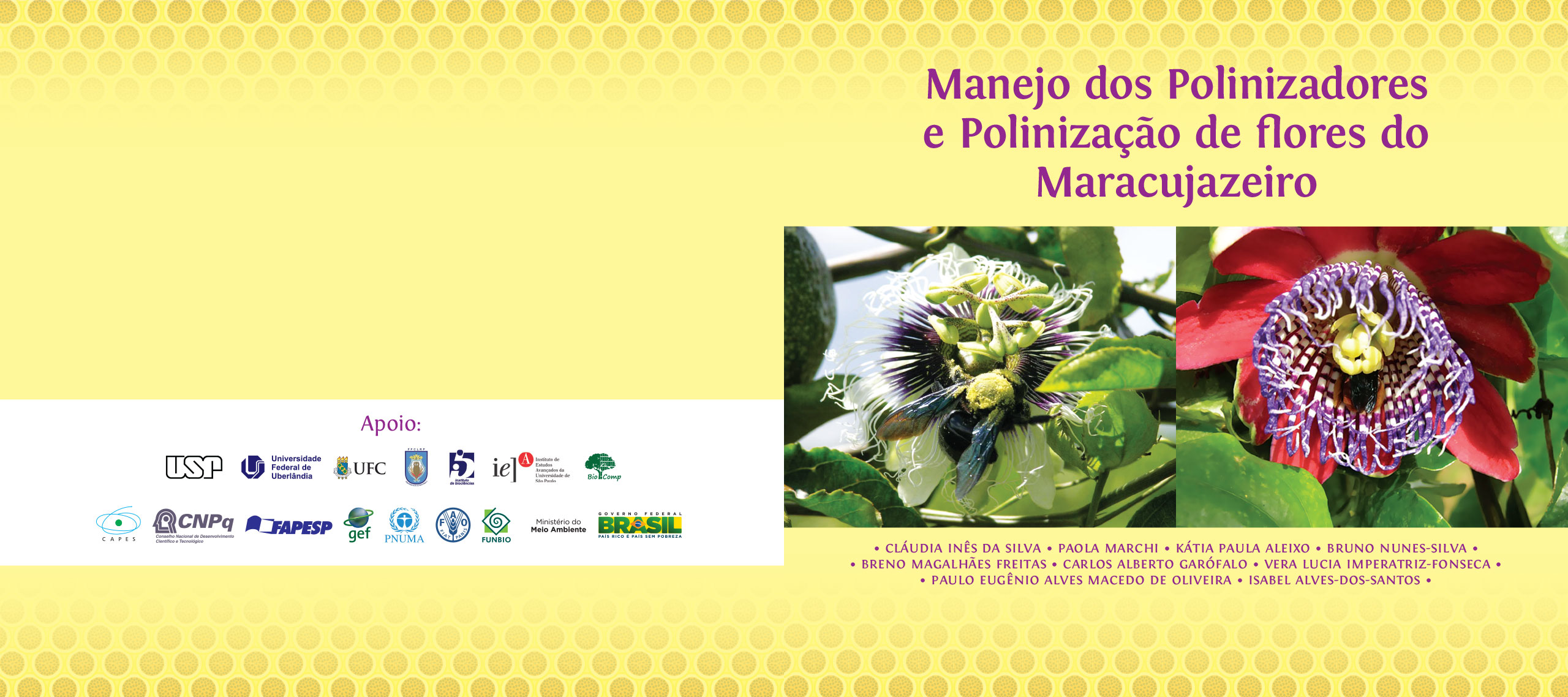 Capa do livro Manejo dos Polinizadores e Polinização de flores do Maracujazeiro