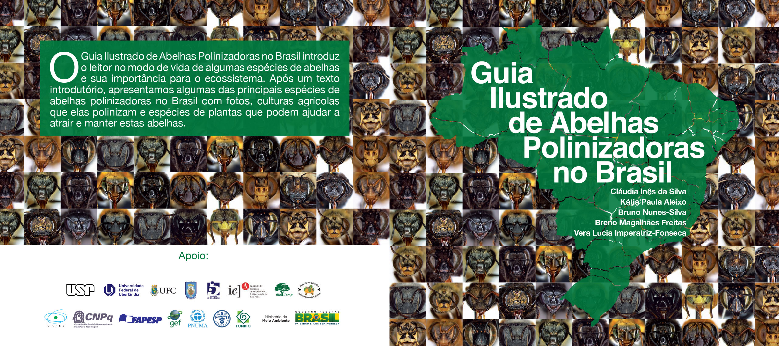 Capa do Guia ilustrado de abelhas polinizadoras no Brasil